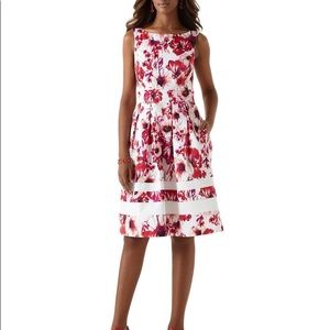 WHBM blossom pink floral dress 12